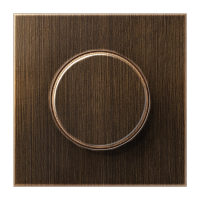 Dangtelis šviesos reguliatoriui sendinto žalvario spalvos LS - JUNG