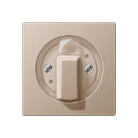 Dangtelis pasukamo jungiklio šampano spalvos A - JUNG