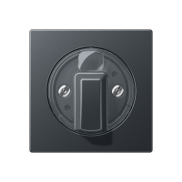 Dangtelis pasukamo jungiklio antracito matinės spalvos A - JUNG