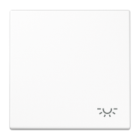 Klavišas viengubam jungikliui baltas su apšvietimu LS - JUNG