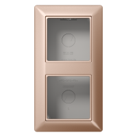 Dėžutė v/t dviguba montažui su rėmeliu šampano spalvos AS 500 - JUNG