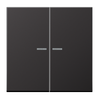 Klavišas dvigubas jungikliui su apšvietimu aliumininis dark spalvos LS - JUNG