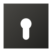 Dangtelis jungikliui su spyna aliumininis antracito spalvos LS - JUNG