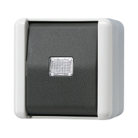 Mygtukas v/t viengubas 2 polių IP44 pilkas 10A 250V WG800 - JUNG