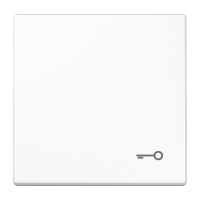 Klavišas dvigubas jungikliui su apšvietimu juodas SL - JUNG