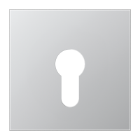 Dangtelis jungikliui su spyna aliumininis LS - JUNG