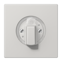 Dangtelis pasukamas jungikliui žaliuzių šviesiai pilkas skirtas 1234.10 LS - JUNG