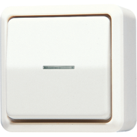 Perjungiklis v/t viengubas IP20 su apšvietimu dramblio kaulo spalvos 10A - JUNG