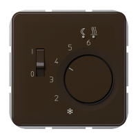 Termostatas CD - JUNG