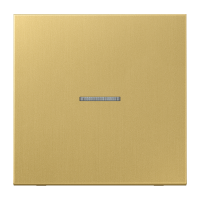 Klavišas viengubas jungikliui su apšvietimu LS - JUNG