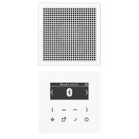 Radijas skaitmeninis DAB su bluetooth mono LS - JUNG