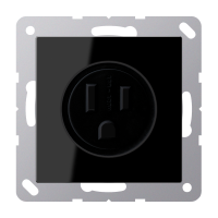 Lizdas p/t juodas 15A/125V US-Norm A - JUNG