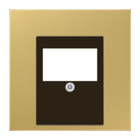 Dangtelis viengubas TAE lizdui - JUNG