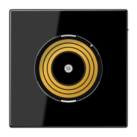 Dangtelis juodas tvirtinimui šviestuvo PLUG LS - JUNG