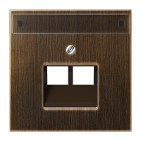 Dangtelis dvigubas UAE lizdui su vieta užrašui sendinto žalvario spalvos LS - JUNG