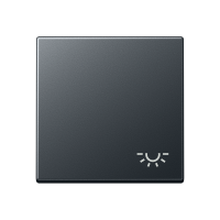 Klavišas viengubas su simboliu antracito matinės spalvos A - JUNG