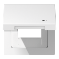 Dangtelis su uždengimu USB lizdui LS - JUNG