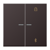 Dangtelis bluetooth aliumininis LS - JUNG