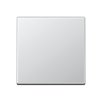 Klavišas mygtukinis standartinis aliuminio spalvos - JUNG