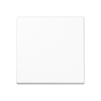 Klavišas mygtukinis standartinis baltas A - JUNG