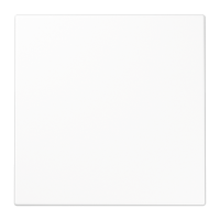 Šviestuvas p/t LED baltos spalvos PLUG LIGHT LS - JUNG