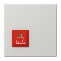 Jungiklis iškvietimo šviesiai pilkas LS - JUNG