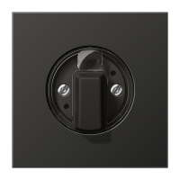 Dangtelis pasukamo jungiklio aliumininis antracito spalvos LS - JUNG