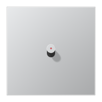 Dangtelis jungiklio viengubo svirtinio su kūgio formos svirtele, vieta indikacijai aliumininis LS 1912 - JUNG