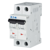 Automatas 2P 32A C 6kA PL6-C32/2 - EATON