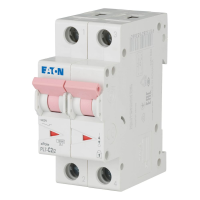 Automatas 2P 2A C 10kA PL7-C2/2 - EATON