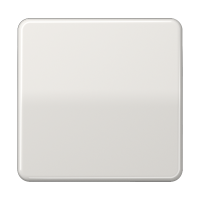 Klavišas viengubam jungikliui šviesiai pilkas CD - JUNG