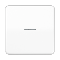 Klavišas viengubas jungikliui su apšvietimu baltas CD - JUNG