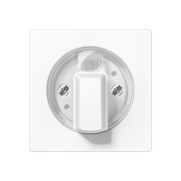 Dangtelis laikrodžiui A - JUNG