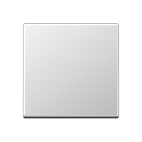 Klavišas viengubam jungikliui aliuminio spalvos A - JUNG