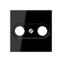 Dangtelis TV lizdui juodas A - JUNG