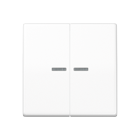 Klavišas dvigubam jungikliui su apšvietimu baltas AS 500 - JUNG