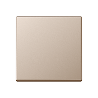 Klavišas viengubam jungikliui šampano spalvos A - JUNG