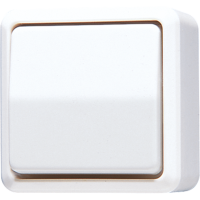 Perjungiklis v/t viengubas baltas 10A 250V - JUNG