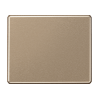 Klavišas viengubam jungikliui bronzinis - JUNG