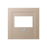 Dangtelis TAE/USB lizdui šampano spalvos A - JUNG