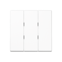 Klavišas trigubam jungikliui baltas A - JUNG