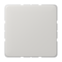 Dangtelis aklinas šviesiai pilkas CD - JUNG