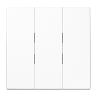 Klavišas trigubam jungikliui baltas LS - JUNG