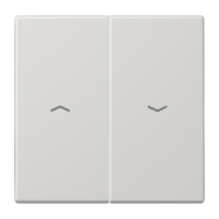 Klavišas dvigubas jungikliui žaliuzių šviesiai pilkas LS - JUNG