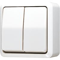 Jungiklis v/t dvigubas baltas 10A 250V - JUNG