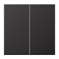 Klavišas dvigubam jungikliui aliumininis dark spalvos LS - JUNG