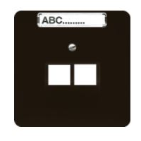 Dangtelis dvigubas RJ45 lizdui rudas CD - JUNG