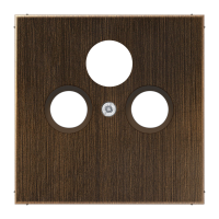 Dangtelis TV/SAT lizdui sendinto žalvario spalvos LS - JUNG