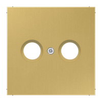 Dangtelis TV lizdui žalvaris ME LS - JUNG