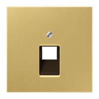 Dangtelis viengubas UAE lizdui žalvaris ME LS - JUNG